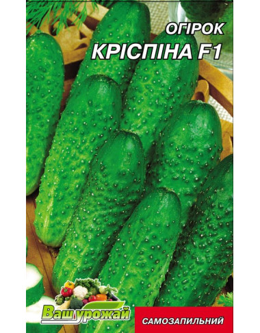 Кріспіна