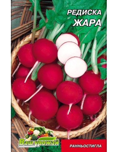 Жара