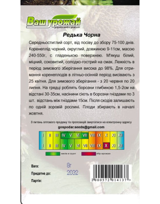 Редька чорна