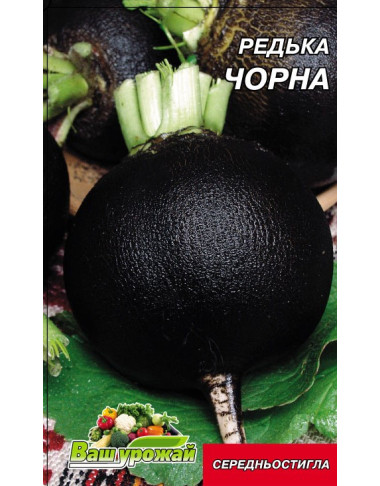 Редька черная