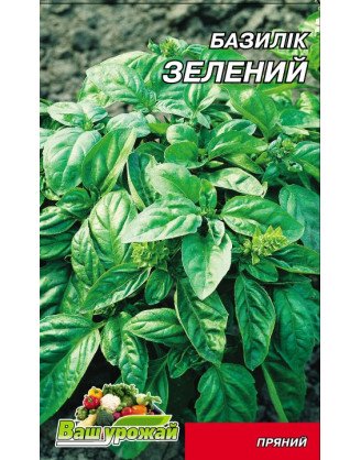 Базилік Зелений