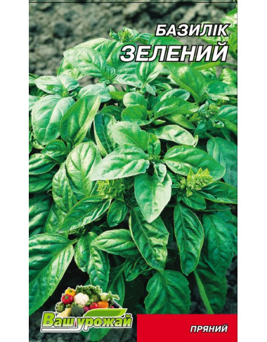 Базилік Зелений