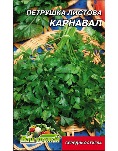 Карнавал