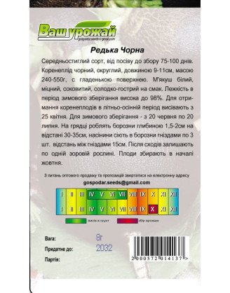 Редька чорна