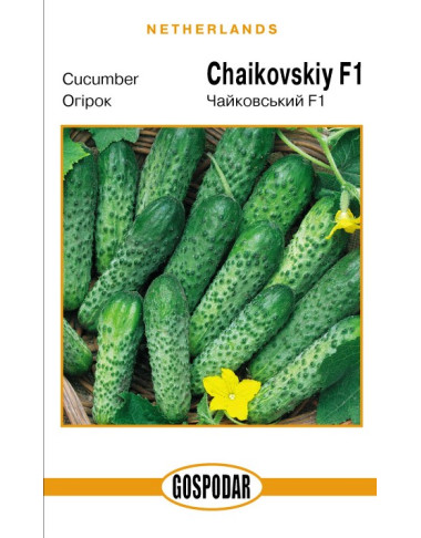 Чайковський F1 (Г)