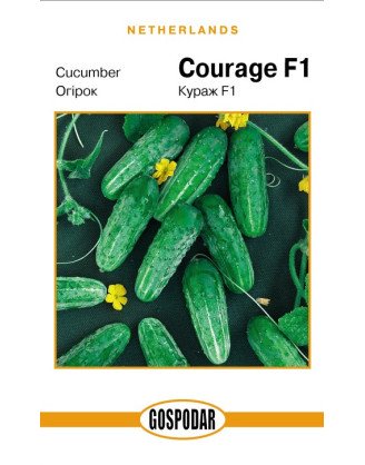 Кураж F1 (Г)