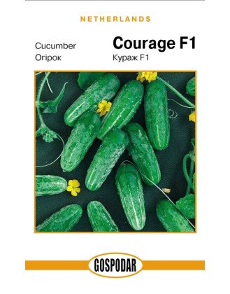 Кураж F1 (Г)