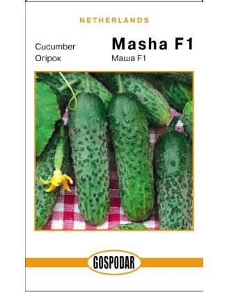 Маша (Г)