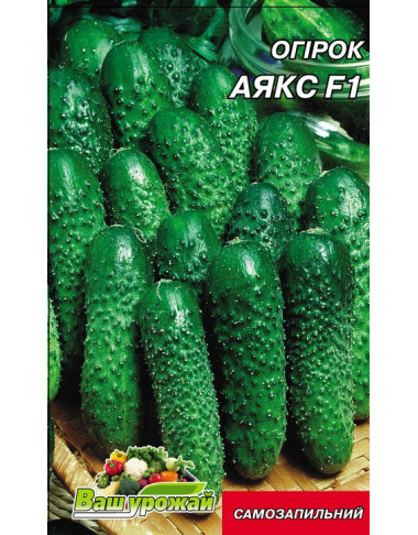 Аякс F1