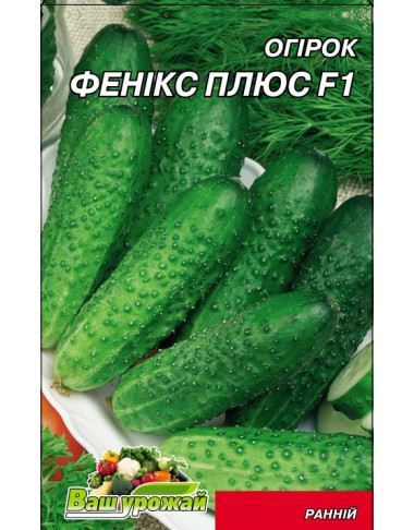 Фенікс плюс