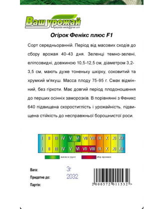 Фенікс плюс
