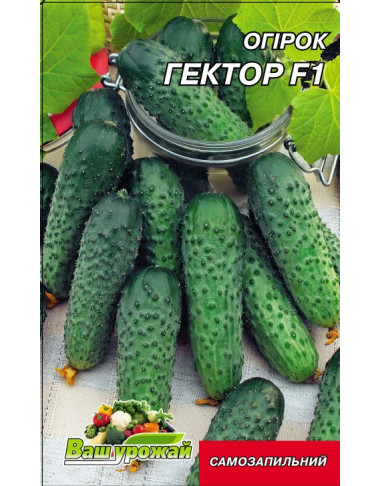 Гектор