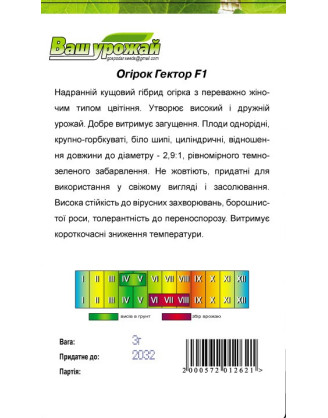 Гектор