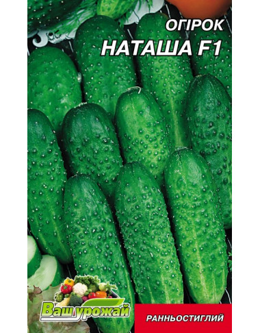 Наташа F1
