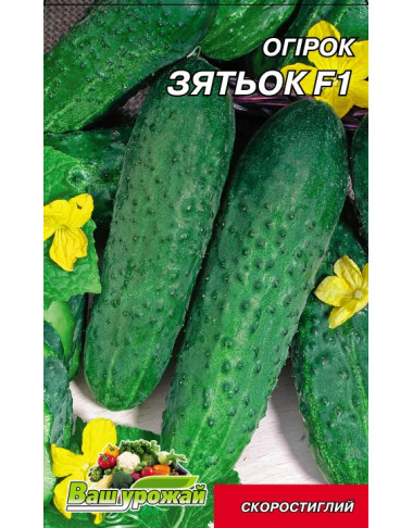 Зятек F1