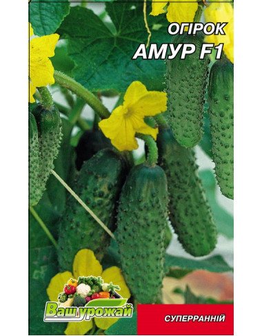 Амур