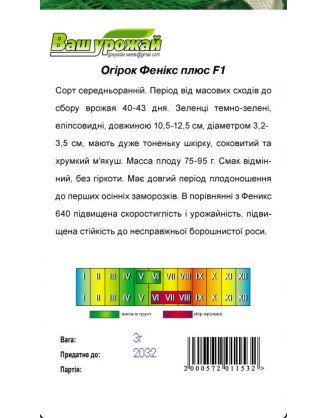 Фенікс плюс