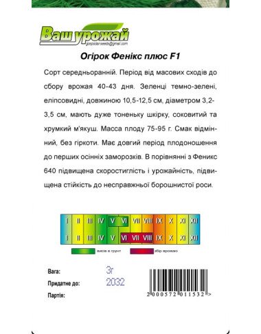 Фенікс плюс