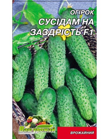Соседу на зависть F1