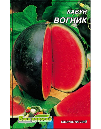 Огонек