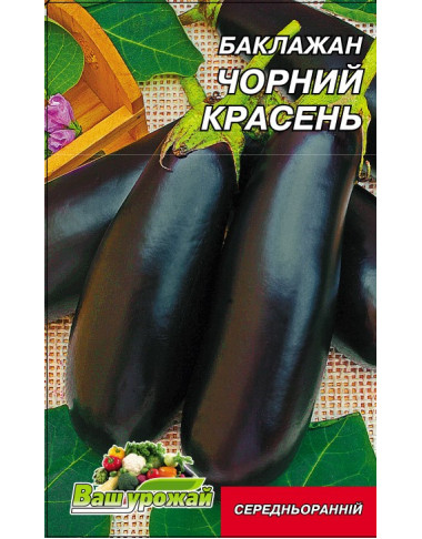 Черный красавец 