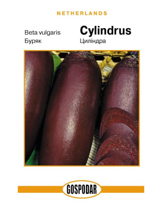 Цилиндра (Г)