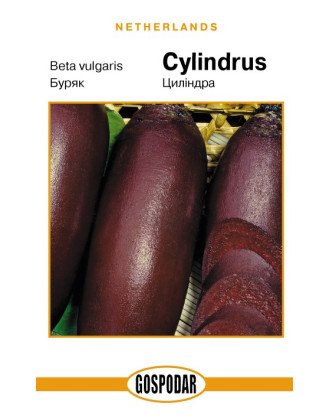 Цилиндра (Г)