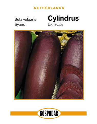 Цилиндра