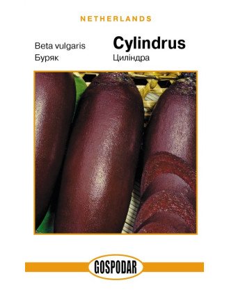 Цилиндра (Г)