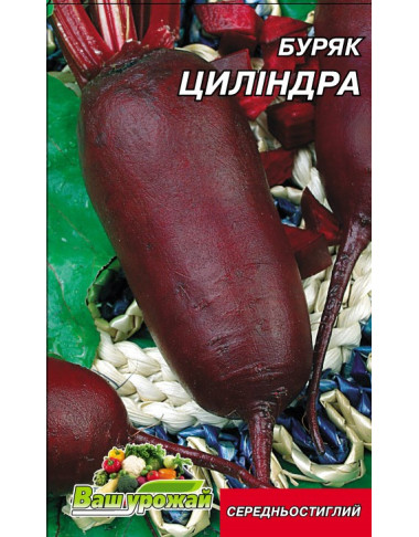Цилиндра