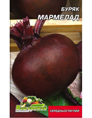 свекла,буряк,семена оптом
