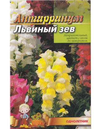 Львиный зев ротики