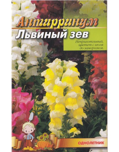 Львиный зев ротики
