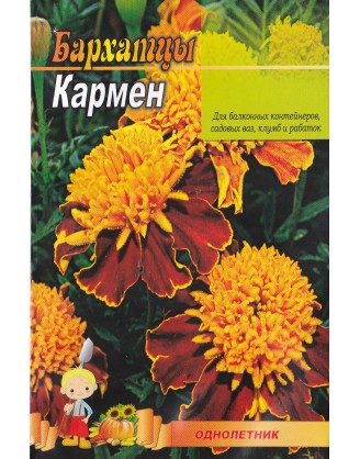 Чорнобривці Кармен