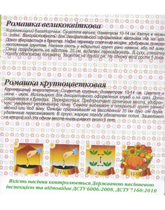 Ромашка Крупноквіткова