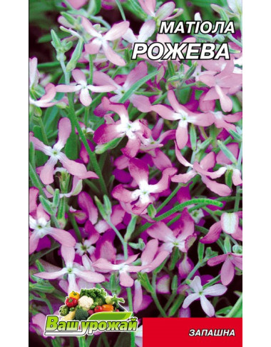 Маттіола Рожева