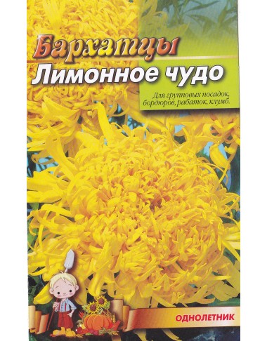 Чорнобривці Лимонне диво
