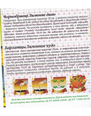 Чорнобривці Лимонне диво