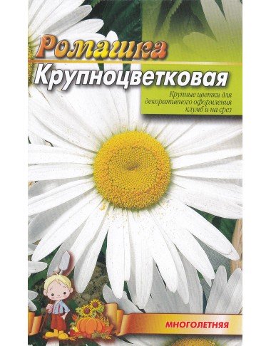 Ромашка Крупноцветковая