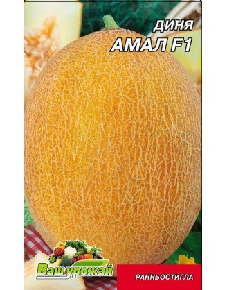 Амал