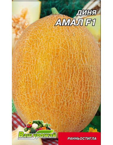 Амал