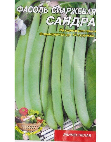 Сандра