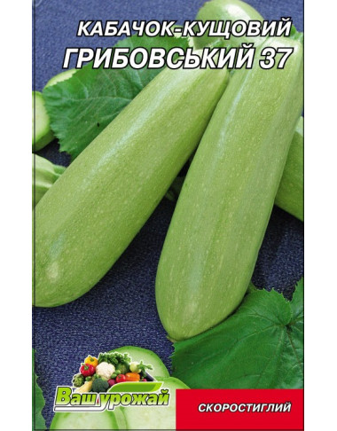 Грибовський 37