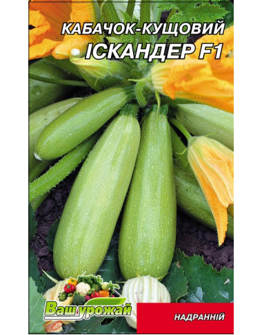 Іскандер F1