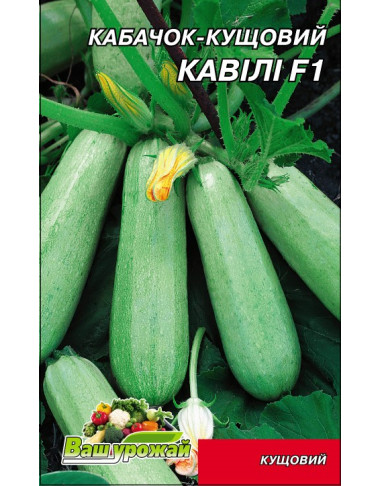 Кавілі F1