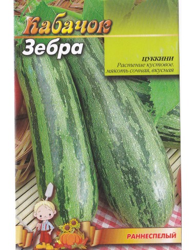 Зебра