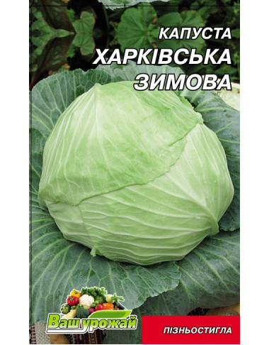 Харківська зимова