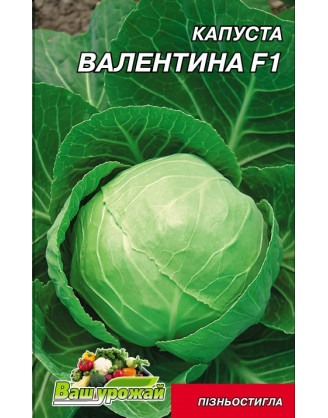 Валентина F1