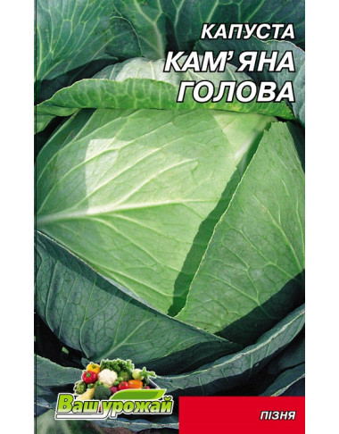 Кам'яна голова
