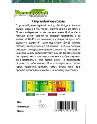 Кам'яна голова